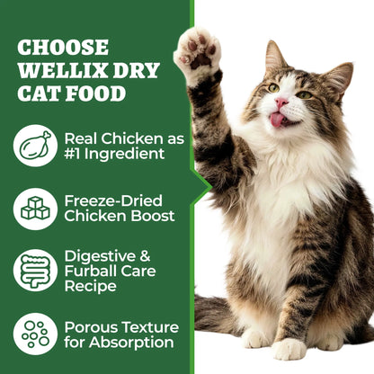 Wellix 63.5Oz Hairball Control Cat Food, High Protein Grain Free Dry Cat Food with Fresh Chicken, Fresh Bone-In Chicken & Chicken Liver, No Artificial Attractants