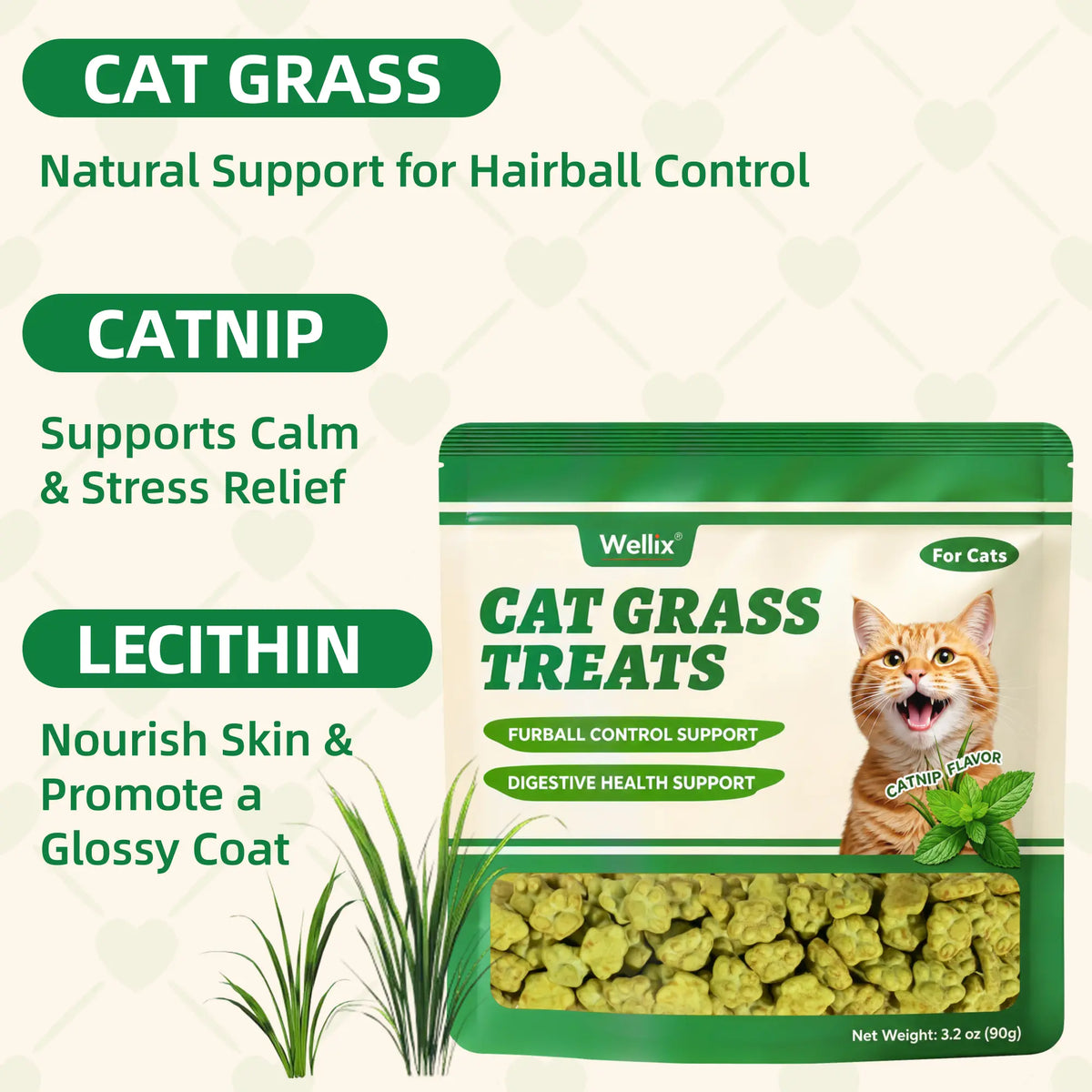 Wellix Cat Treats for Indoor Cats Hairball Control Natural Salmon Healthy Cat Grass Treats Kitten Snacks Training Biscuits Catnip for Cats Dental Care 3.17Oz