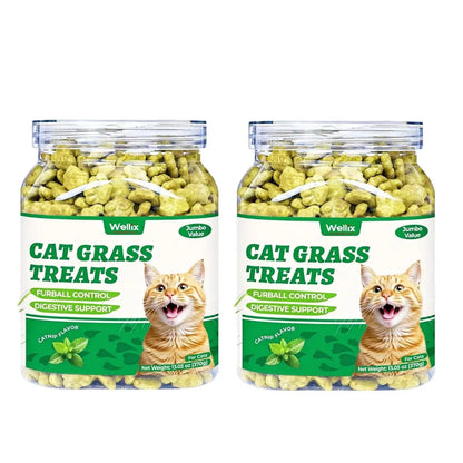 Wellix Cat Treats for Indoor Cats Hairball Control Natural Salmon Healthy Cat Grass Treats Kitten Snacks Training Biscuits Catnip for Cats Dental Care 3.17Oz