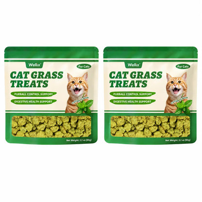 Wellix Cat Treats for Indoor Cats Hairball Control Natural Salmon Healthy Cat Grass Treats Kitten Snacks Training Biscuits Catnip for Cats Dental Care 3.17Oz
