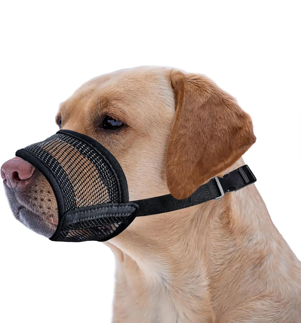 #Backtoschool Dog Muzzle for Varies Dogs - Air Mesh Muzzle for Varies Sized Dog | Adjustable No Bark Dogs Muzzles for Scavenging Licking & Chewing | Prevent Biting |,Back to School
