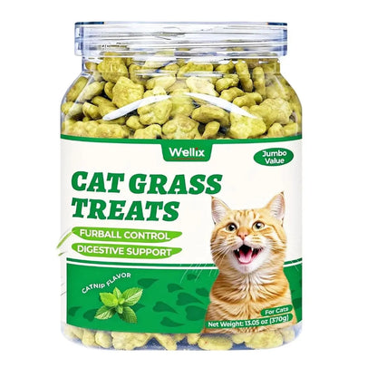 Wellix Cat Treats for Indoor Cats Hairball Control Natural Salmon Healthy Cat Grass Treats Kitten Snacks Training Biscuits Catnip for Cats Dental Care 3.17Oz