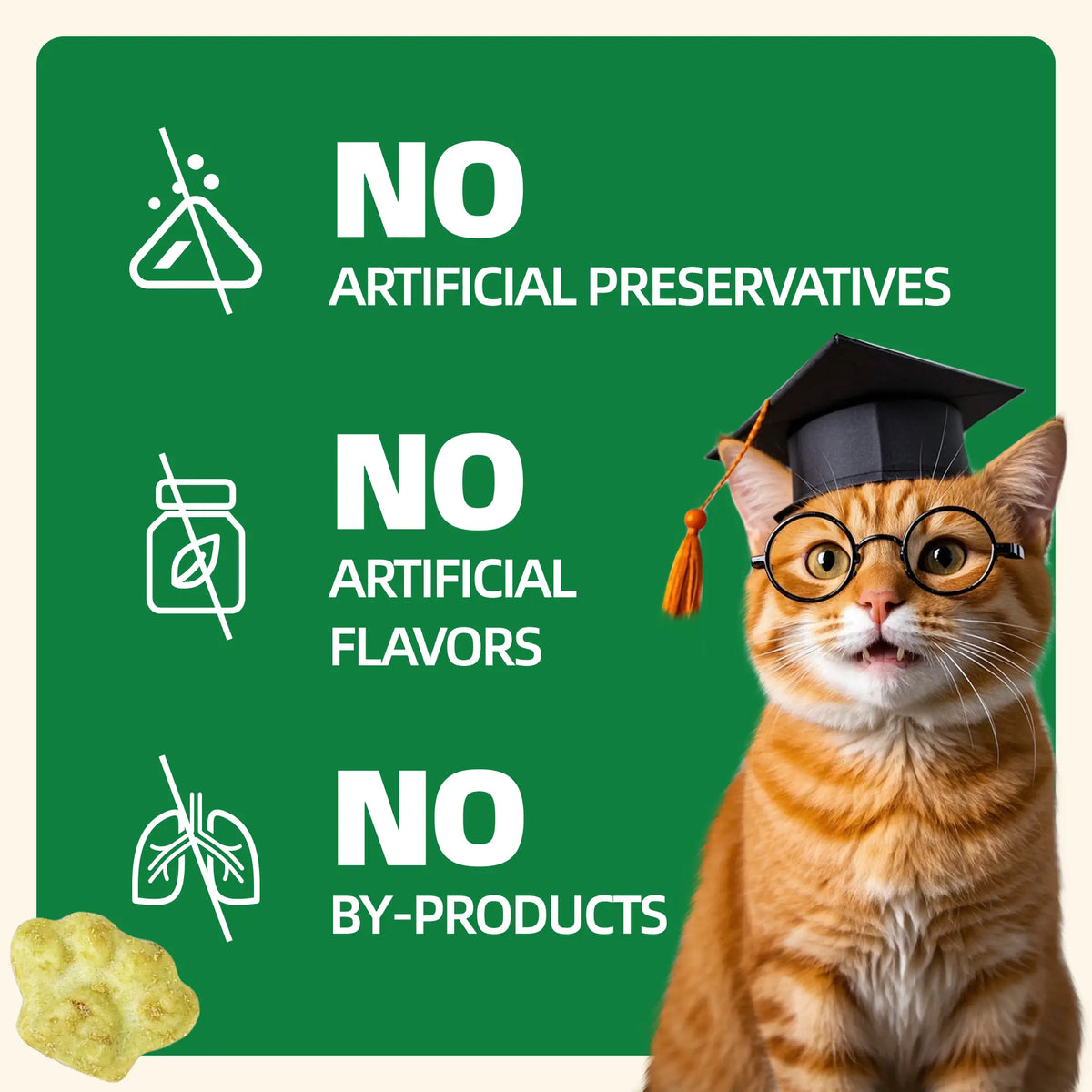 Wellix Cat Treats for Indoor Cats Hairball Control Natural Salmon Healthy Cat Grass Treats Kitten Snacks Training Biscuits Catnip for Cats Dental Care 3.17Oz