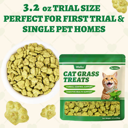 Wellix Cat Treats for Indoor Cats Hairball Control Natural Salmon Healthy Cat Grass Treats Kitten Snacks Training Biscuits Catnip for Cats Dental Care 3.17Oz