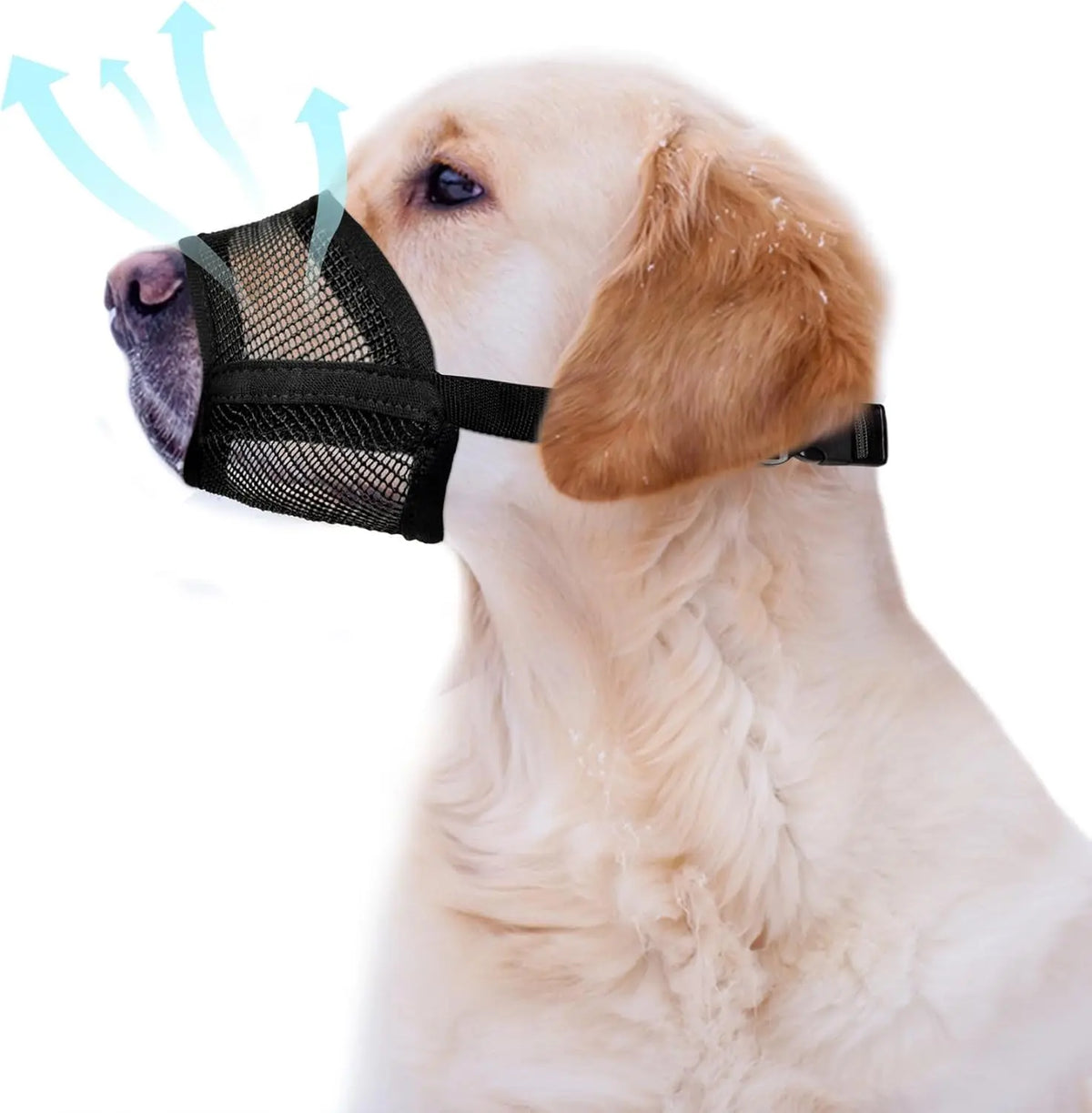 #Backtoschool Dog Muzzle for Varies Dogs - Air Mesh Muzzle for Varies Sized Dog | Adjustable No Bark Dogs Muzzles for Scavenging Licking & Chewing | Prevent Biting |,Back to School