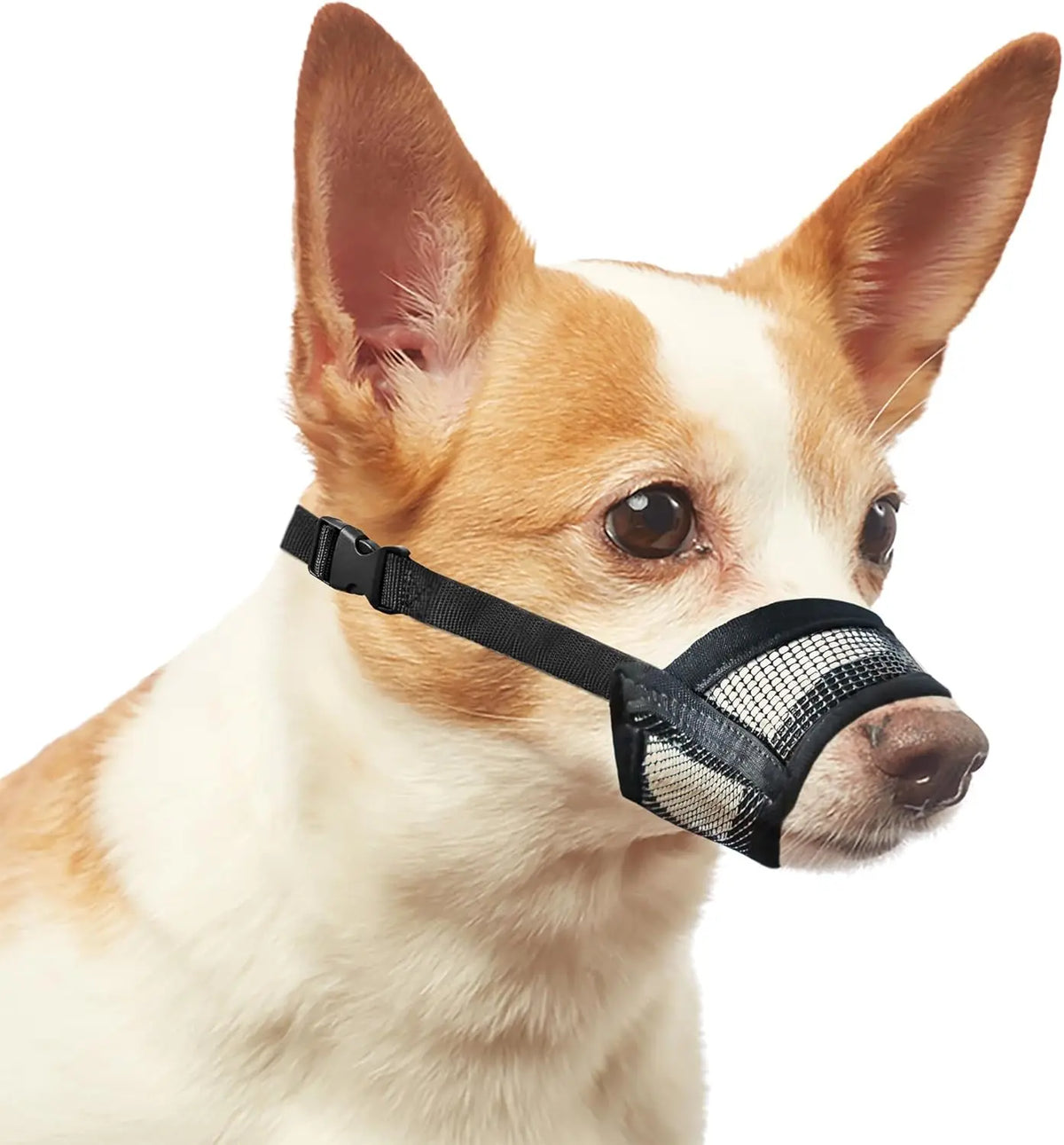 #Backtoschool Dog Muzzle for Varies Dogs - Air Mesh Muzzle for Varies Sized Dog | Adjustable No Bark Dogs Muzzles for Scavenging Licking & Chewing | Prevent Biting |,Back to School