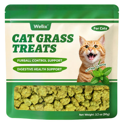 Wellix Cat Treats for Indoor Cats Hairball Control Natural Salmon Healthy Cat Grass Treats Kitten Snacks Training Biscuits Catnip for Cats Dental Care 3.17Oz